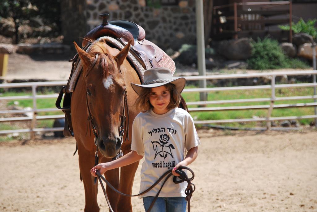 Vered Hagalil Holiday Village Hotel Chorazim Extérieur photo